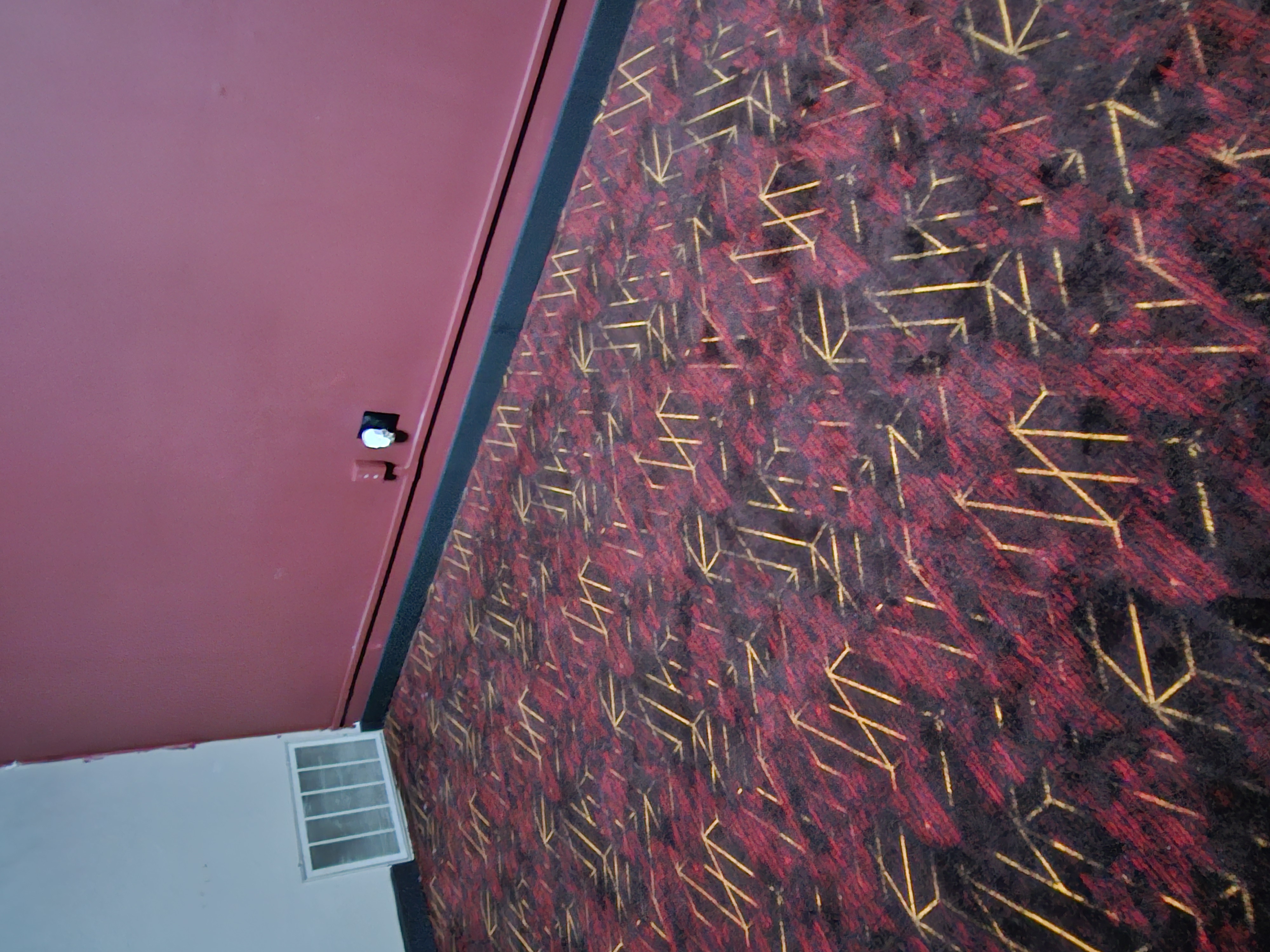 Carpet in